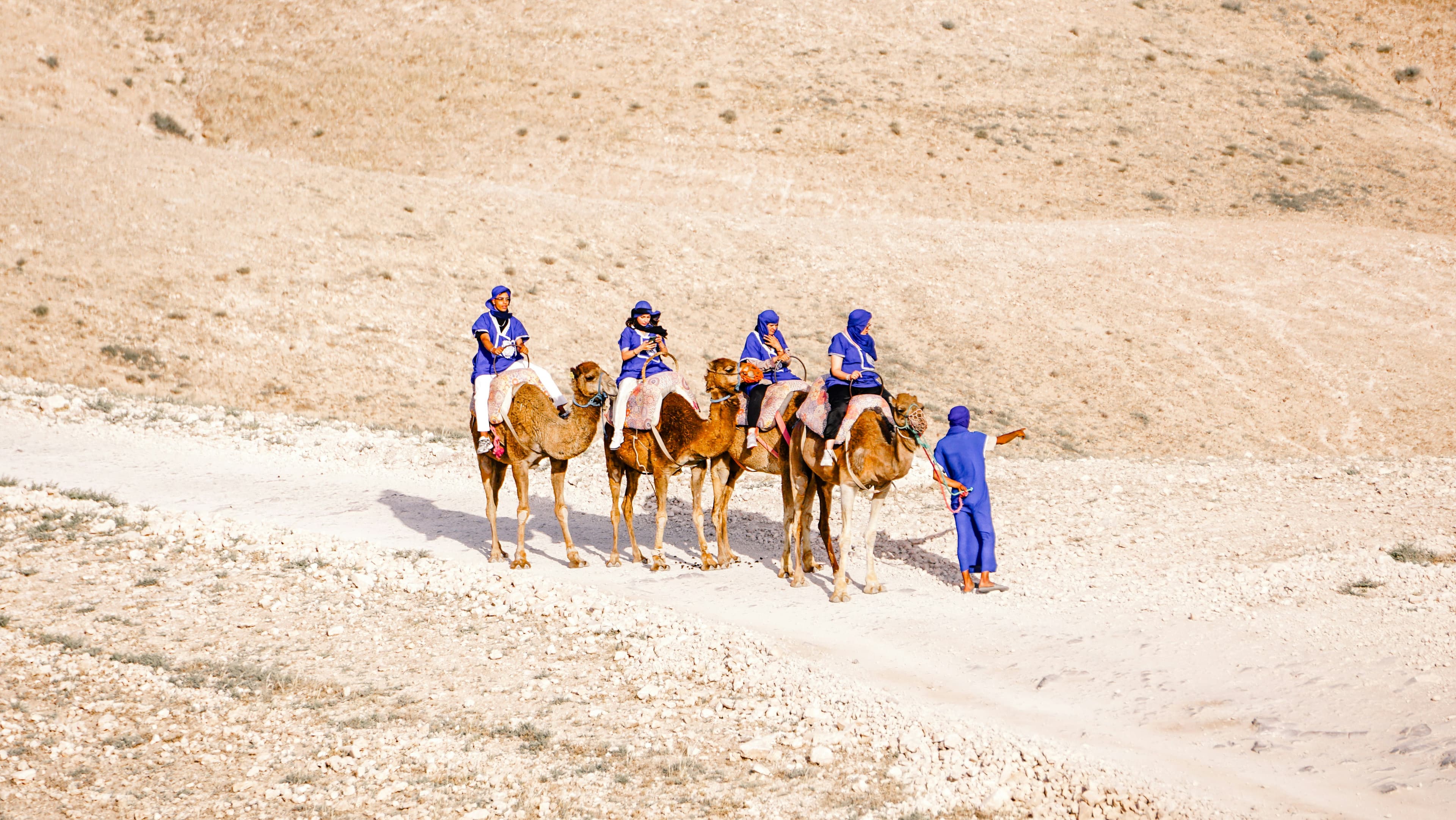 Tourists riding camels across a desert